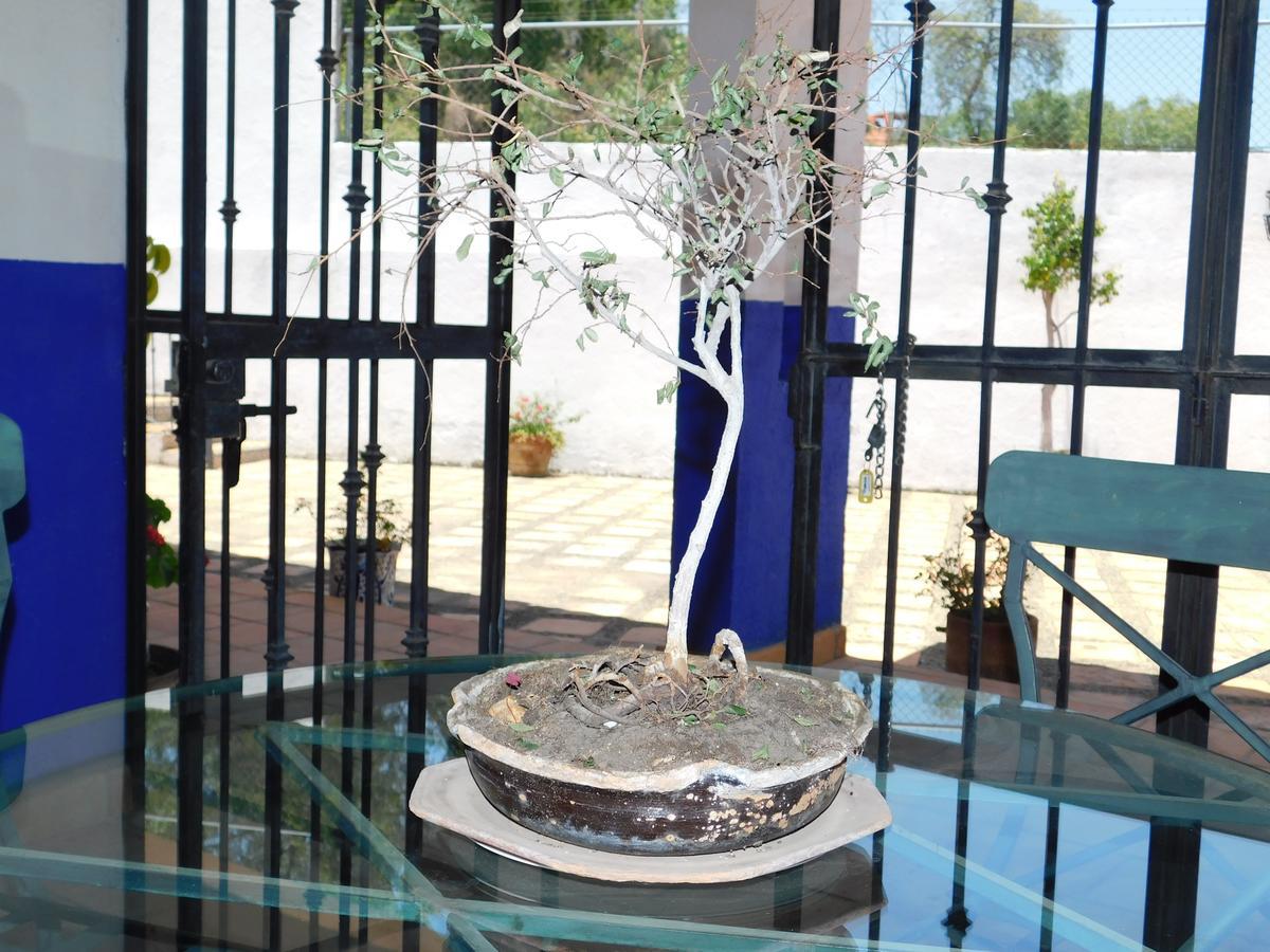 Casa Erizo 39 (Adults Only) Hotel Guanajuato Exterior photo
